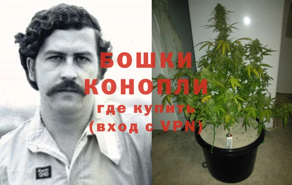 первитин Алексин