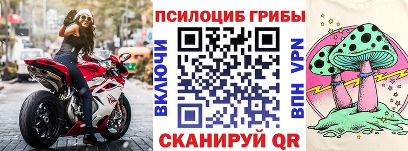Галлюциногенные грибы Psilocybe  ОМГ ОМГ ССЫЛКА  Алексин 